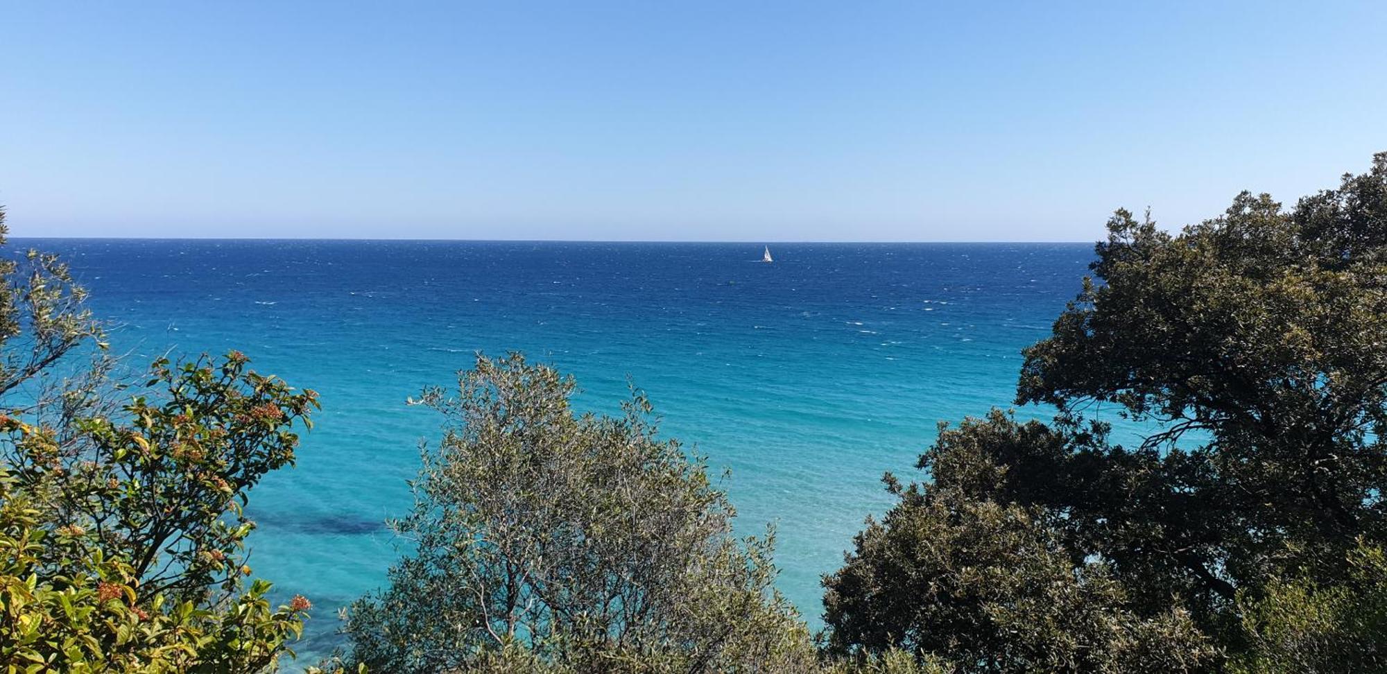 Auberge De Cannedda Sari-Solenzara Εξωτερικό φωτογραφία
