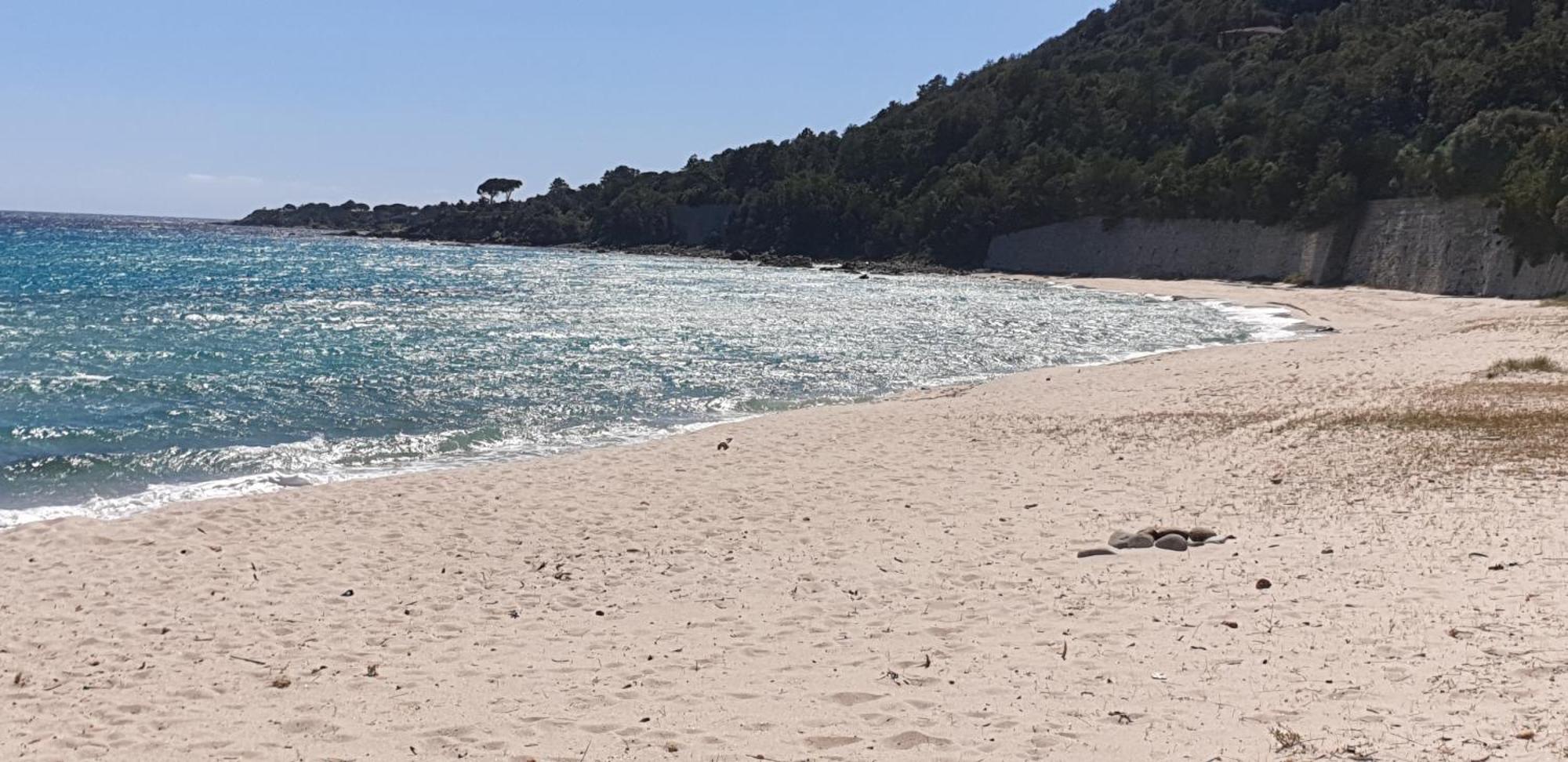 Auberge De Cannedda Sari-Solenzara Δωμάτιο φωτογραφία