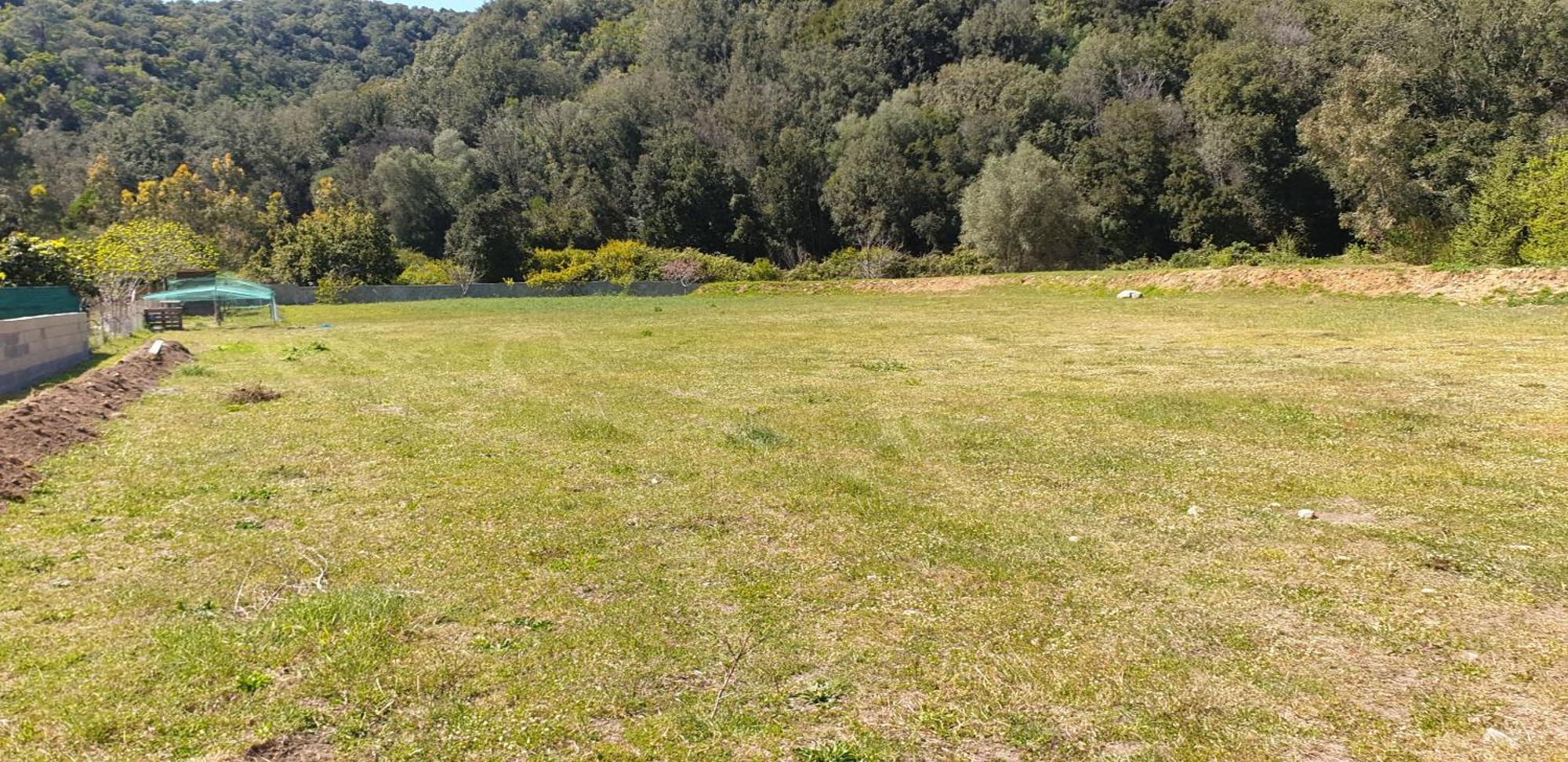 Auberge De Cannedda Sari-Solenzara Δωμάτιο φωτογραφία