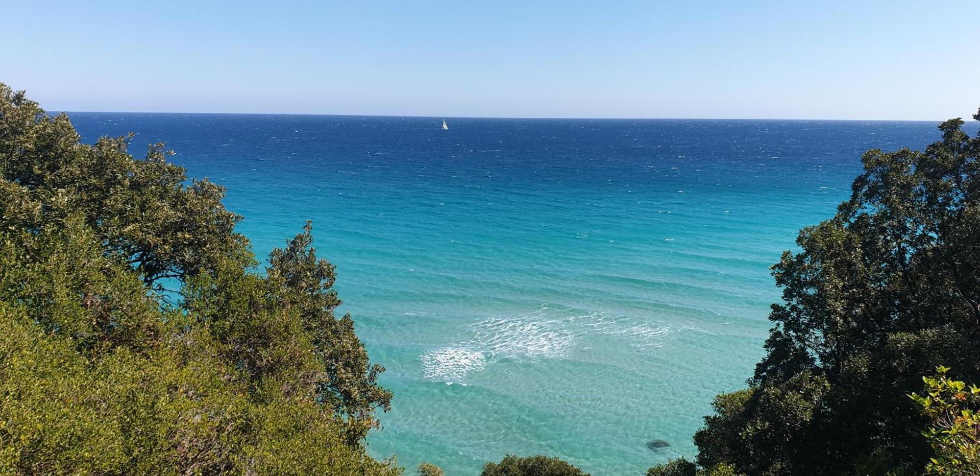 Auberge De Cannedda Sari-Solenzara Δωμάτιο φωτογραφία
