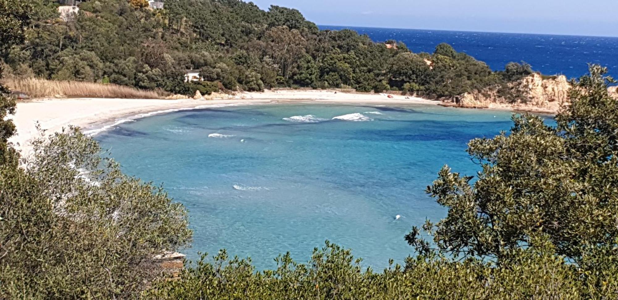 Auberge De Cannedda Sari-Solenzara Δωμάτιο φωτογραφία