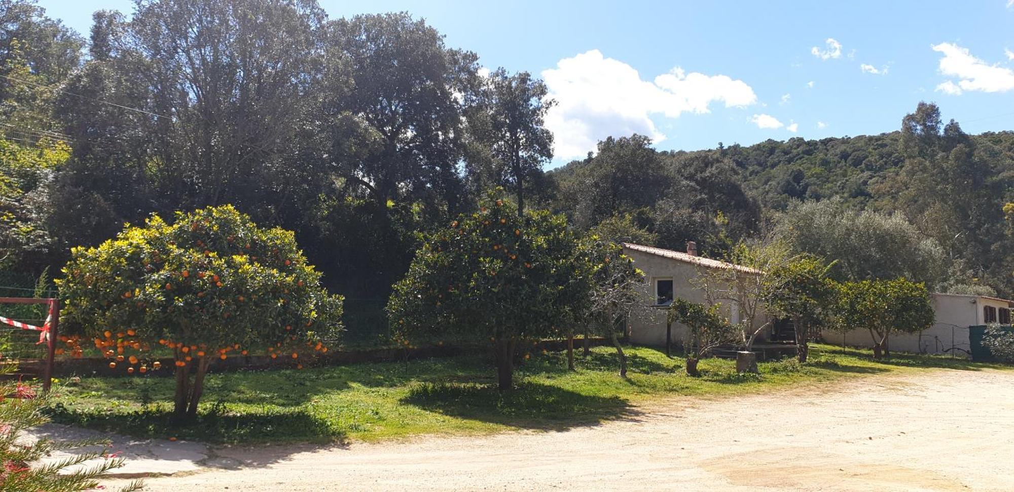 Auberge De Cannedda Sari-Solenzara Δωμάτιο φωτογραφία