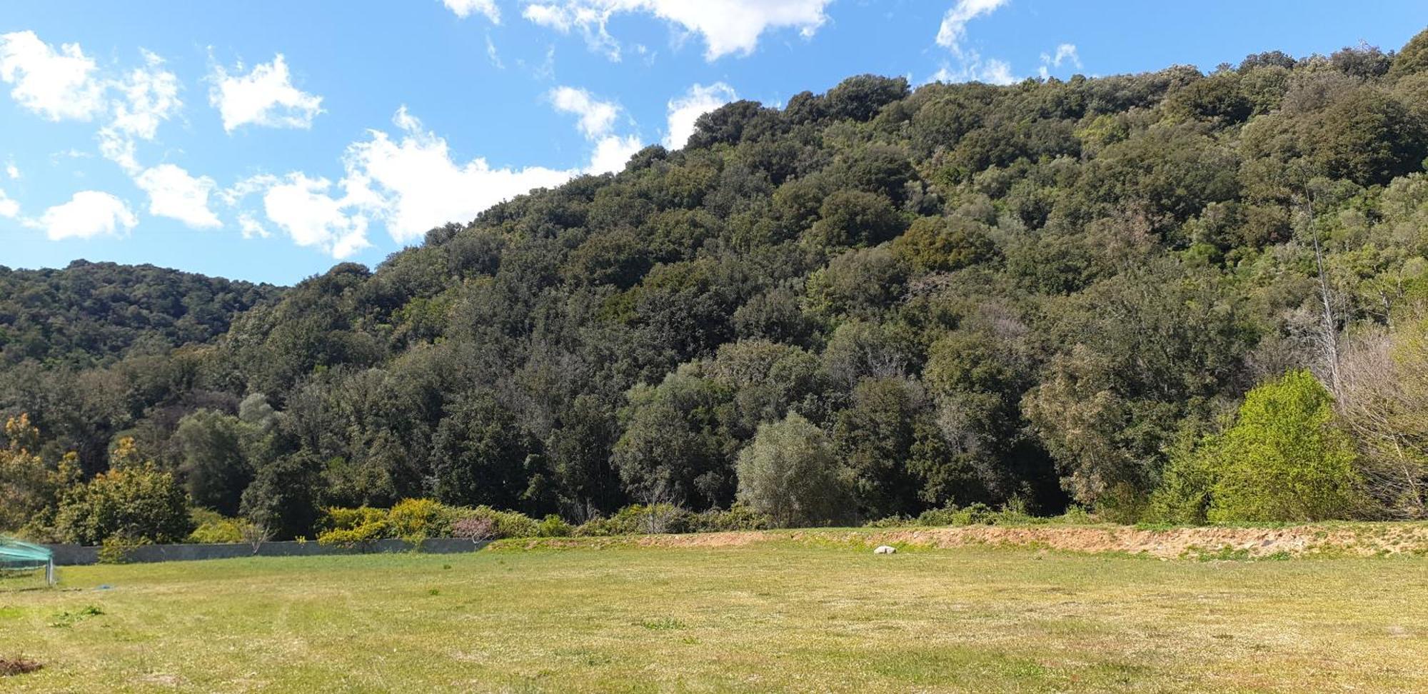 Auberge De Cannedda Sari-Solenzara Δωμάτιο φωτογραφία