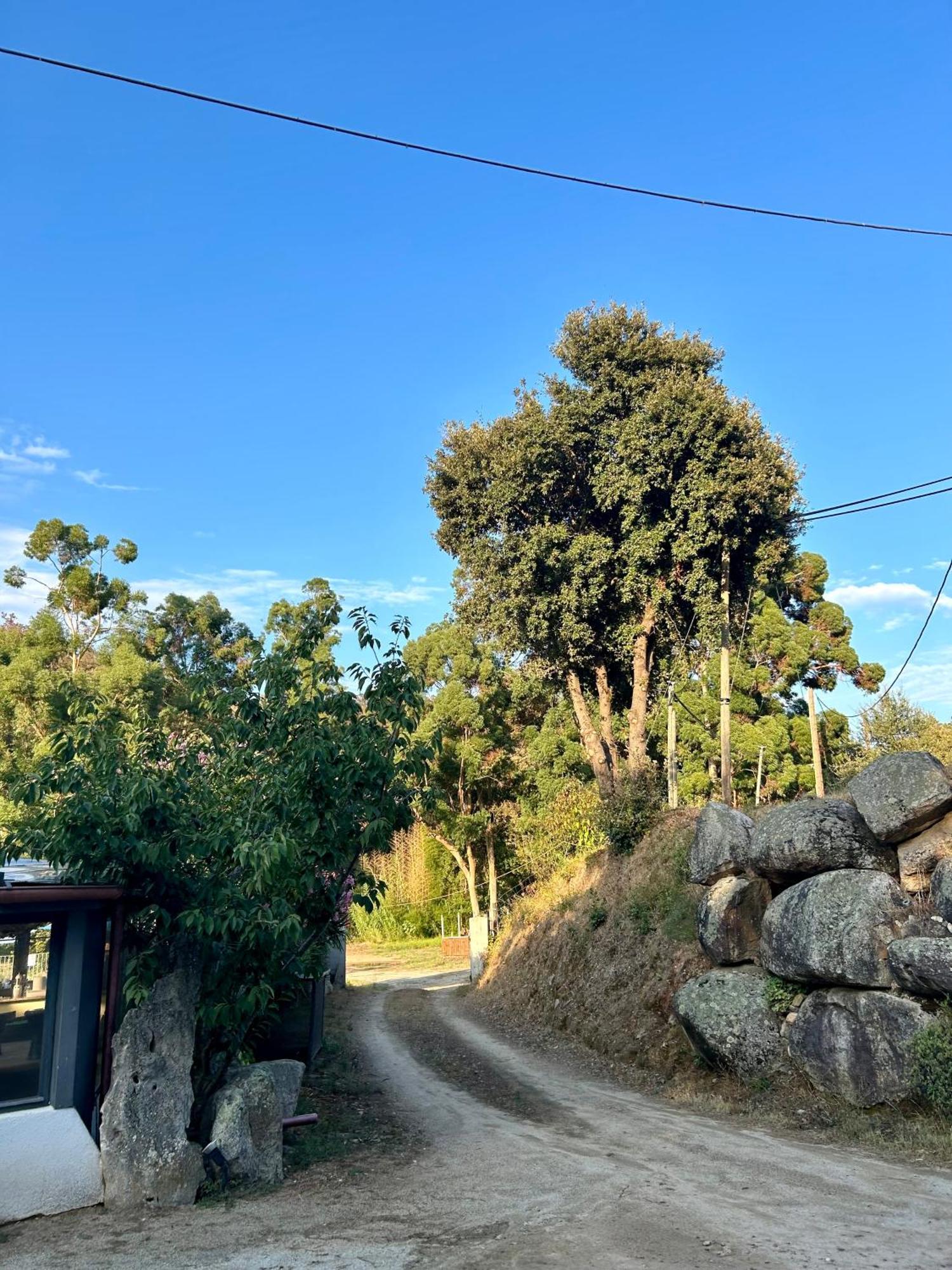Auberge De Cannedda Sari-Solenzara Εξωτερικό φωτογραφία